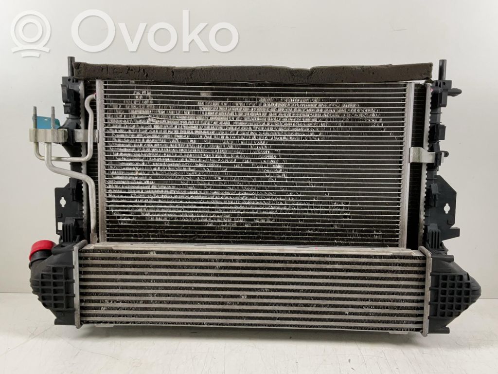 Ford Kuga II Set del radiatore