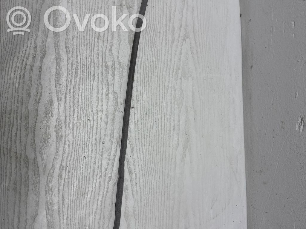 BMW 3 E92 E93 Front door cable line 