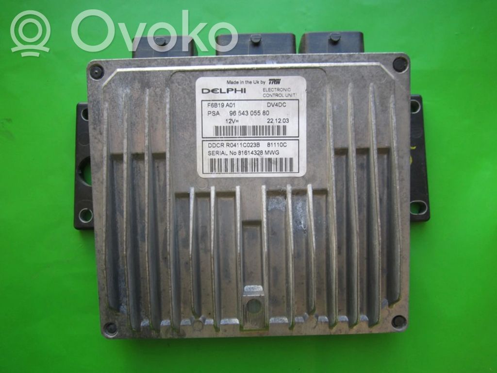 Engine control unit/module ECU   9654305580,81110C