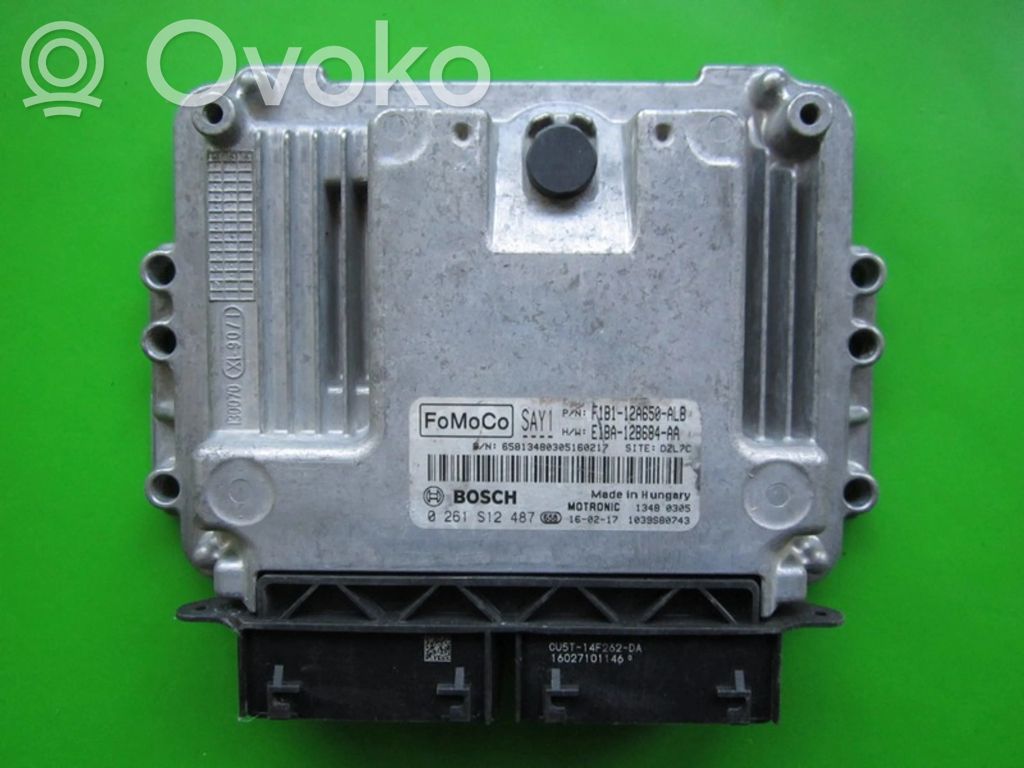 Engine control unit/module ECU   F1B112A650ALB,0261S12487