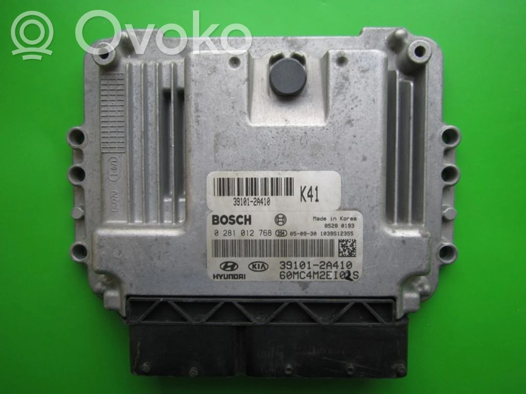 Engine control unit/module ECU   391012A410,0281012768