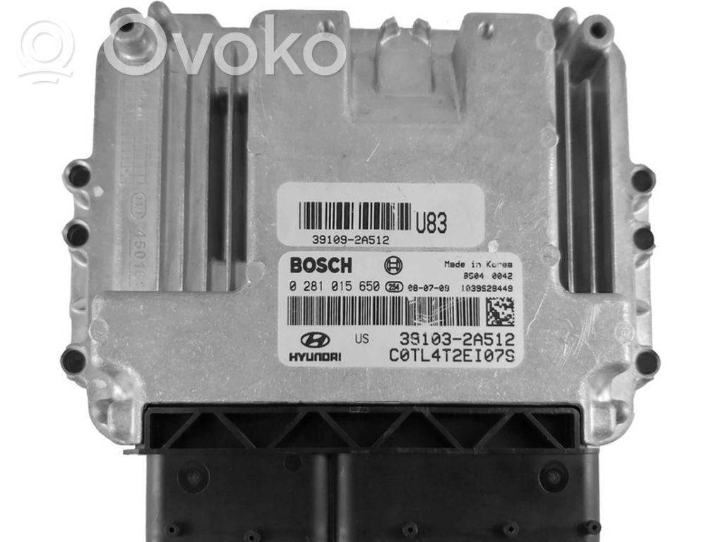 Engine control unit/module ECU   391032A512,0281015650