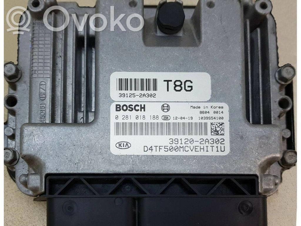 Galios (ECU) modulis   391202A302,0281018188