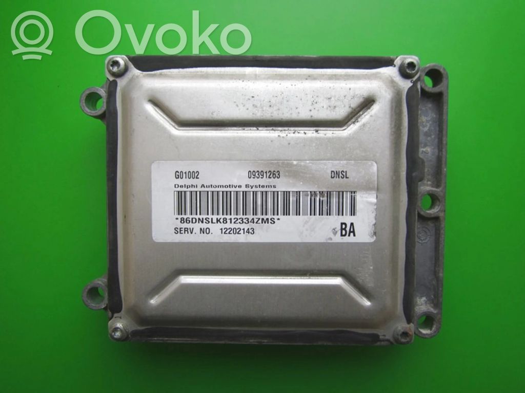 Engine control unit/module ECU   09391263,DNSL