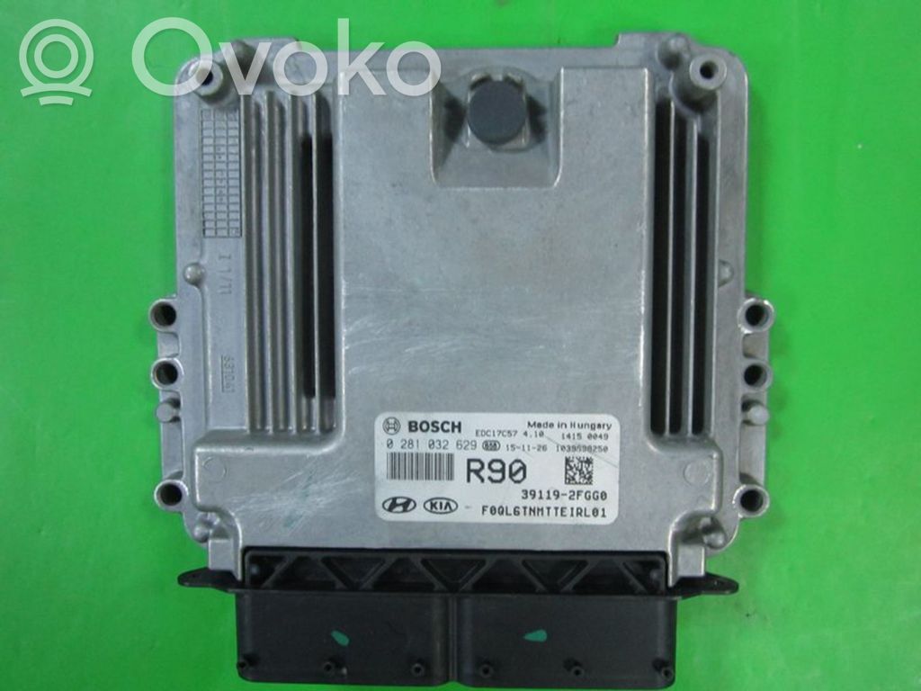 Engine control unit/module ECU   391192FGG0,0281032629