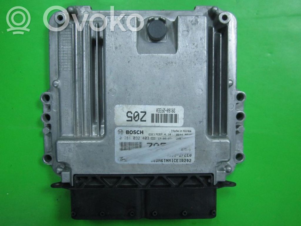 Hyundai Santa Fe Engine control unit/module ECU 