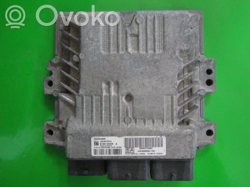 Engine control unit/module ECU   9808376980,S180123009A