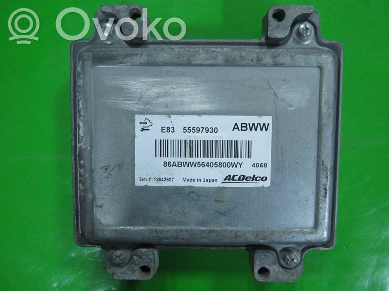 Engine control unit/module ECU   55597930,ABWW