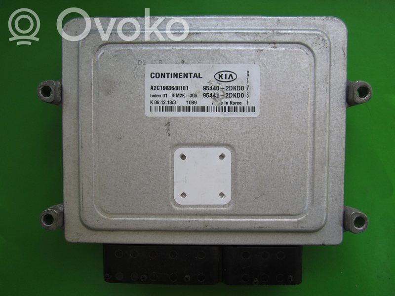 Engine control unit/module ECU   954402DKD0,A2C1963640101