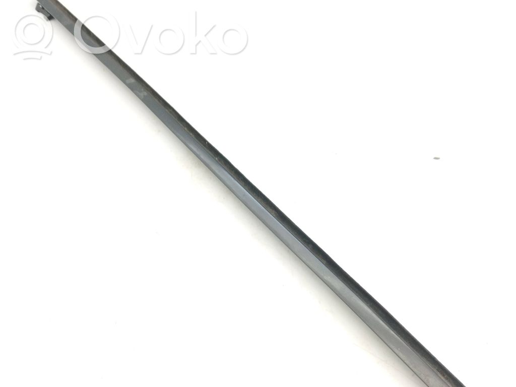 Listwa / Uszczelka szyby drzwi przednich   51218159819,8159819