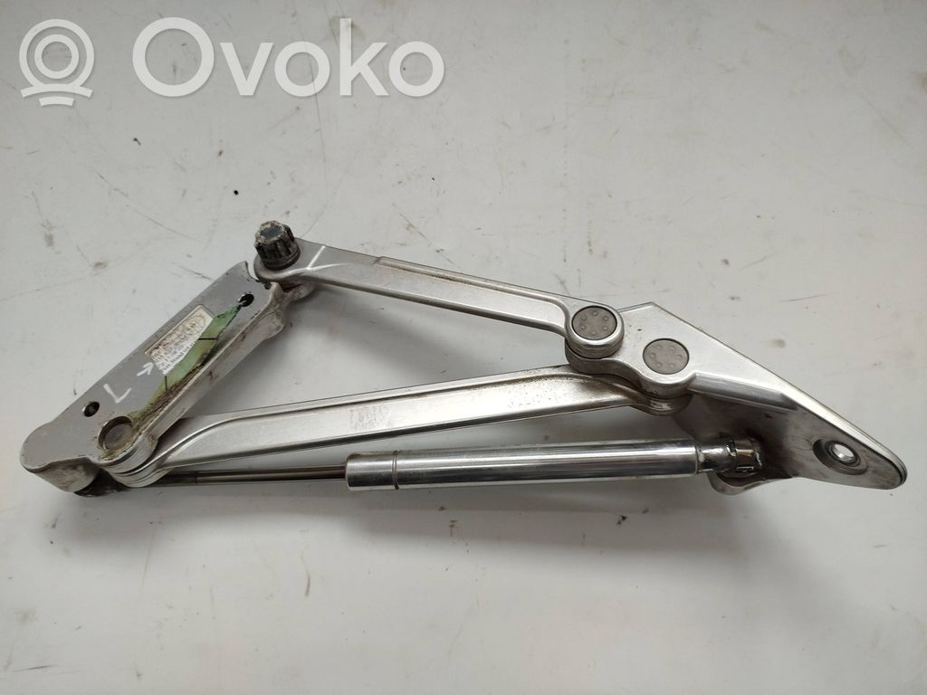 Volkswagen Phaeton Tailgate/trunk/boot hinge 