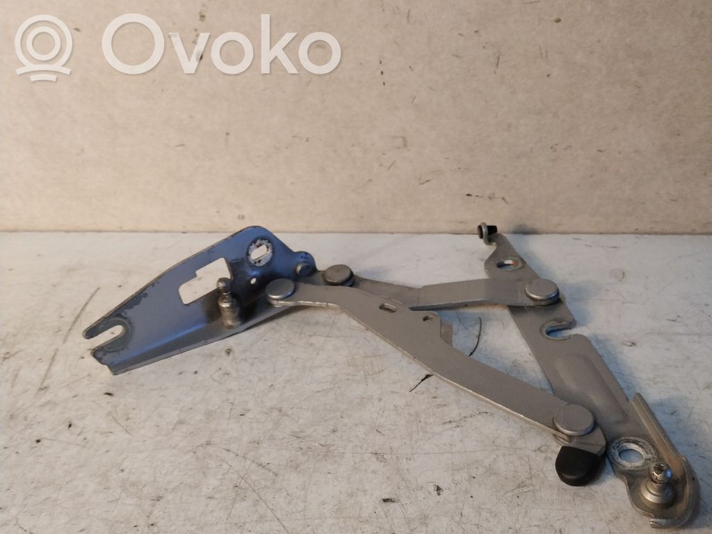 Tailgate/trunk/boot hinge   52669