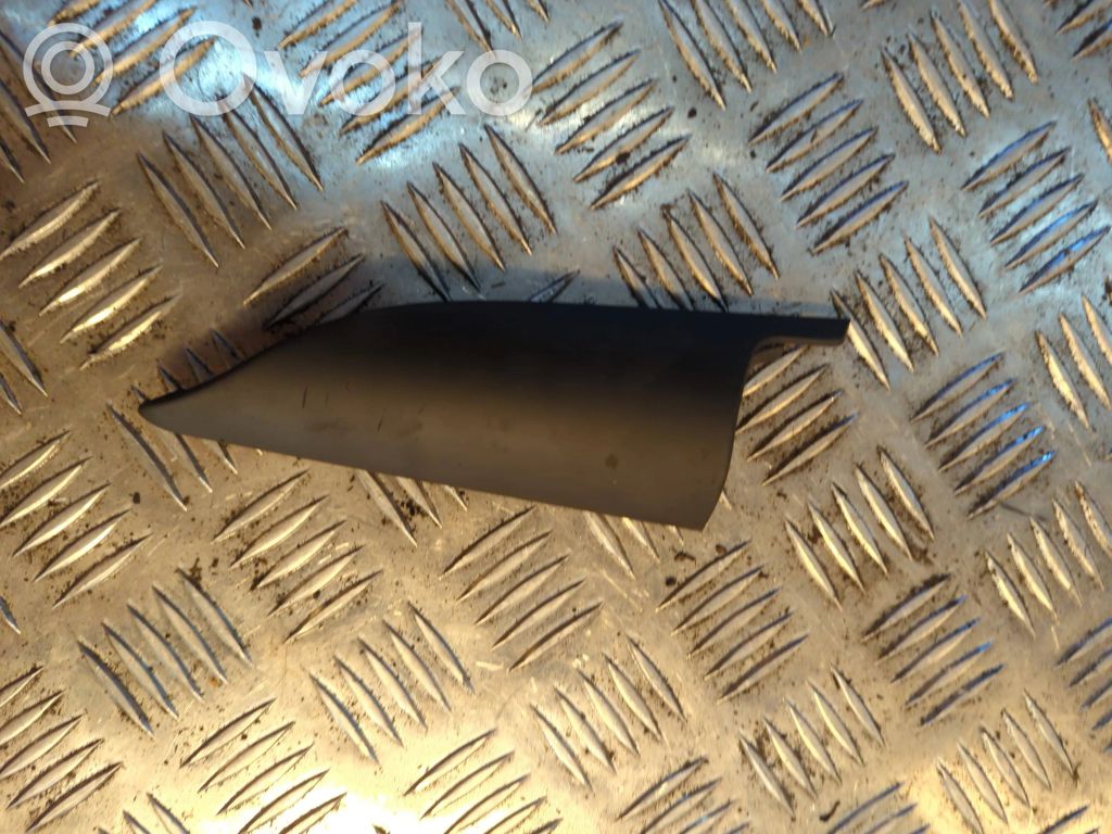 Audi A8 S8 D3 4E Veidrodėlio plastikinė apdaila (dvidurio) 