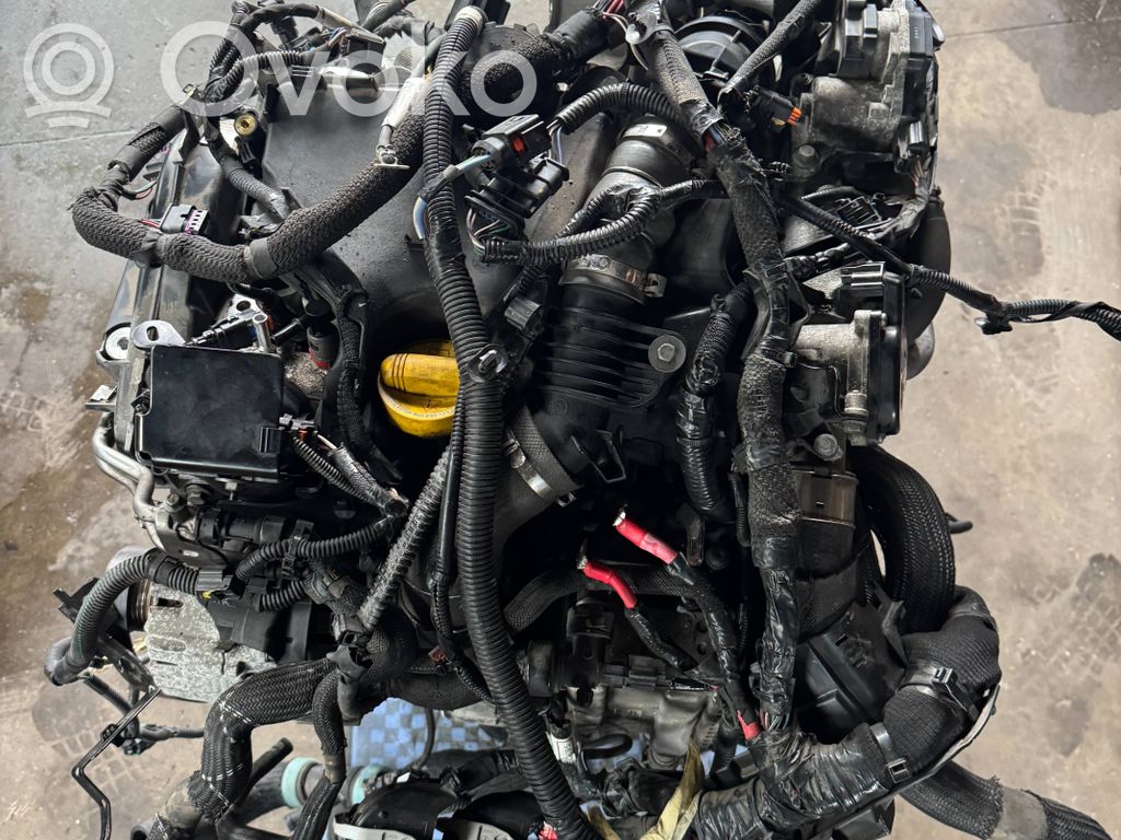 Renault Express Motor 
