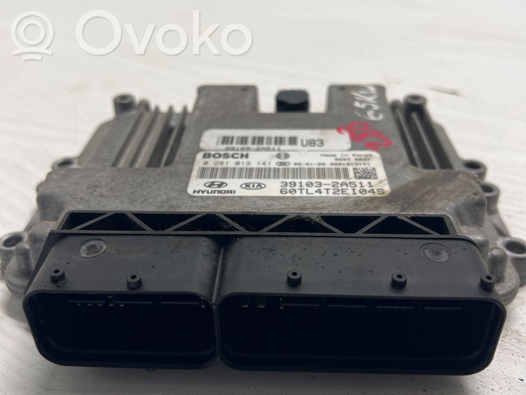 Hyundai Getz Engine control unit/module 