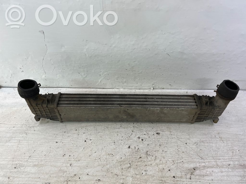 Intercooler radiator   0823856,132002748
