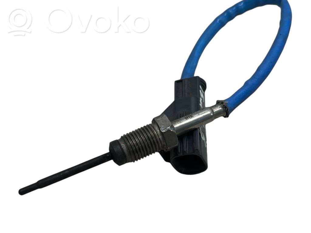 Ford Fiesta Išmetamųjų dujų temperatūros daviklis 