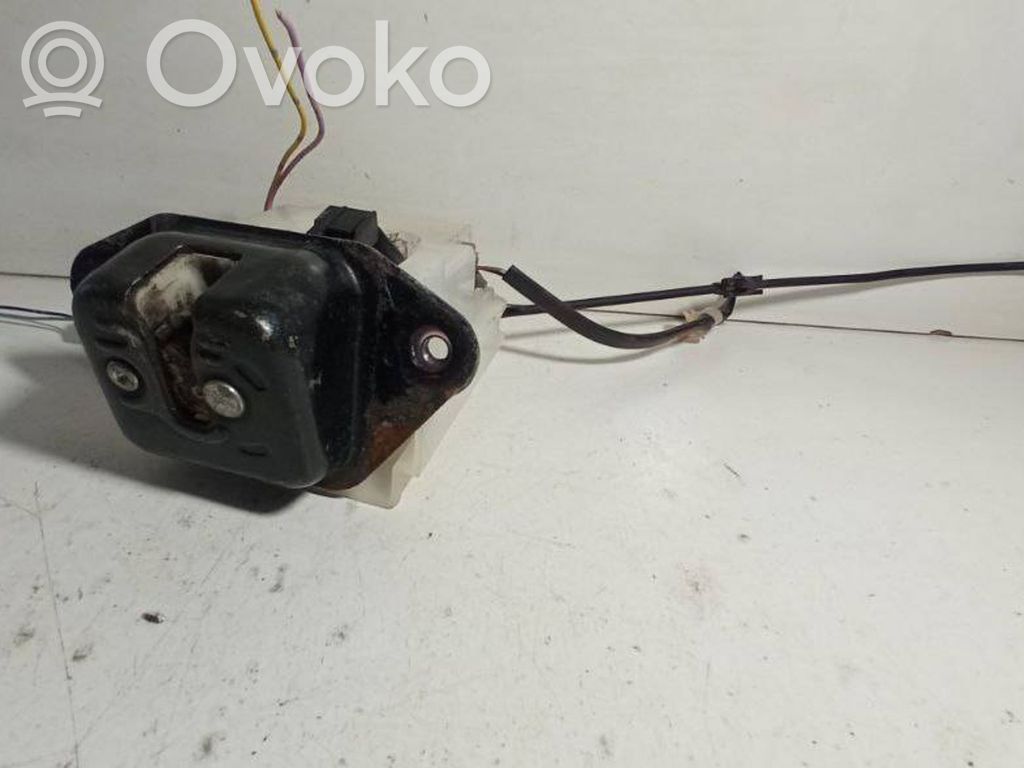 Tailgate/trunk/boot lock/catch/latch