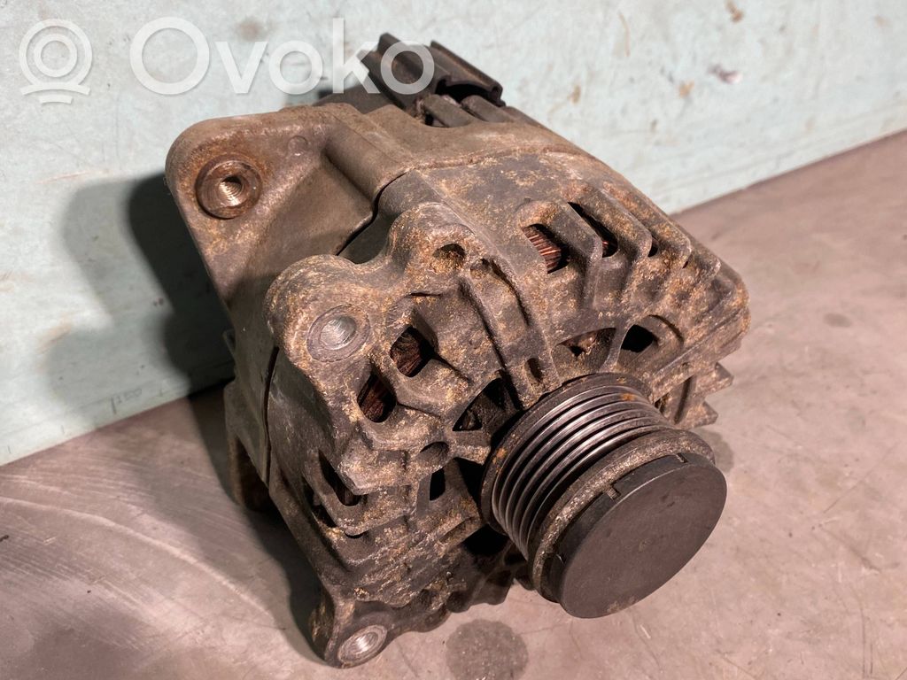 Generatorius   FG20S018,2614132D,113026668,059903018D