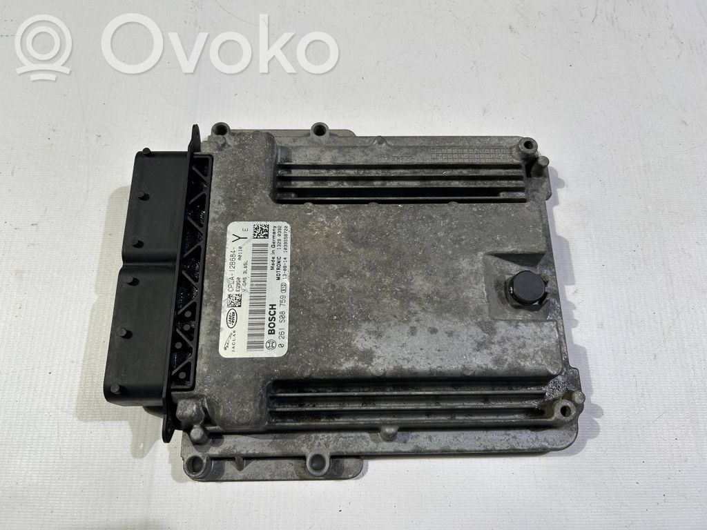Engine control unit/module   0261S08759