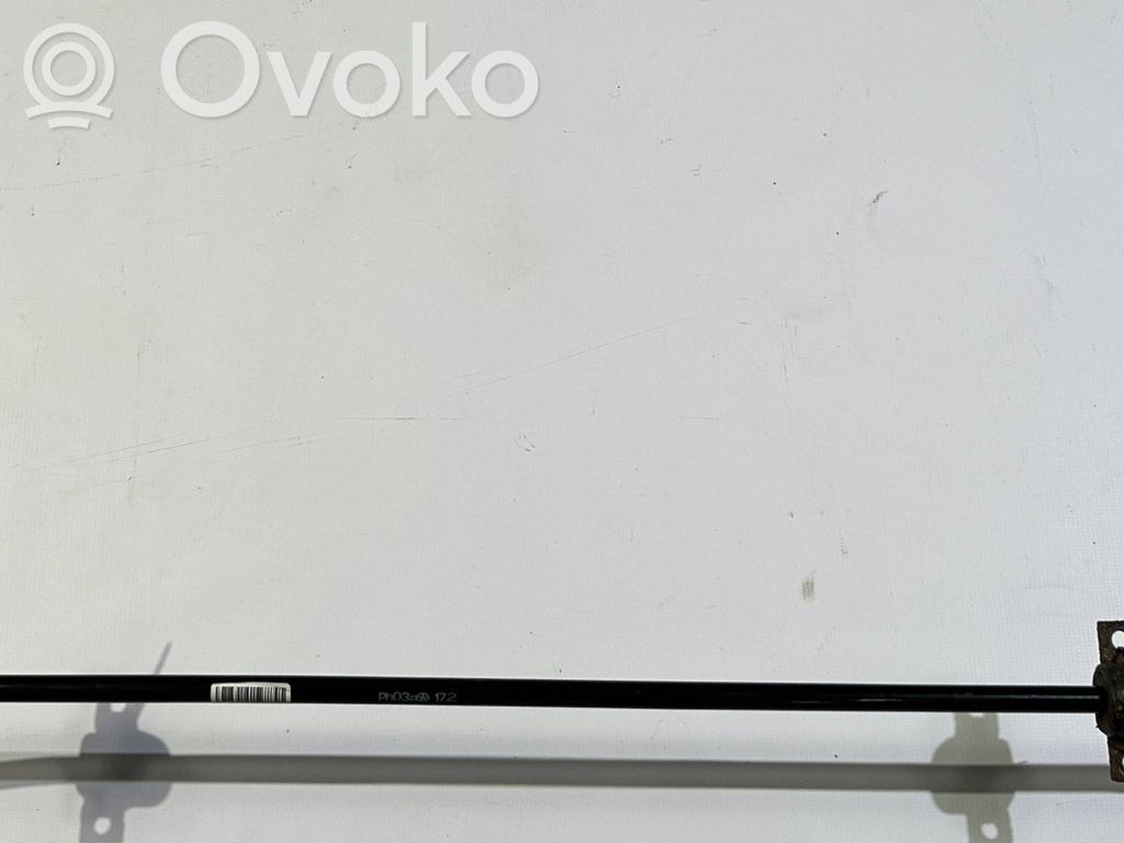 Dodge Charger Tylny stabilizator / drążek 