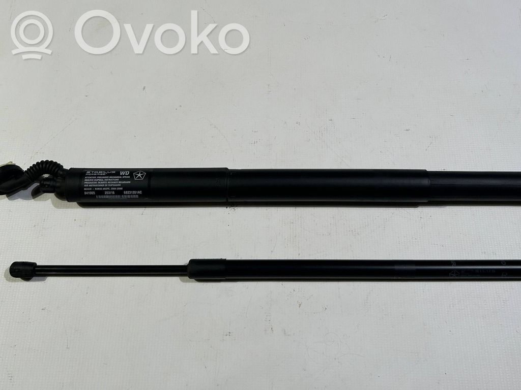 Dodge Durango III Tailgate strut 