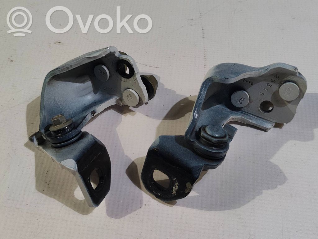 Ford F150 Set balamale ușă spate 