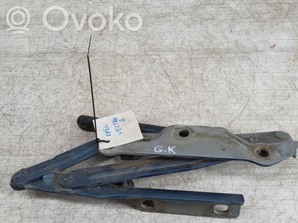 Opel Vectra B Aizmugurējā pārsega eņģe (-ess) 