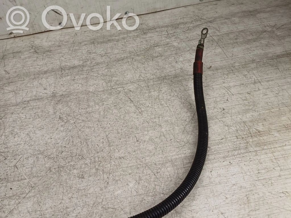 Positive cable (battery)   7789754,77897555,5127941