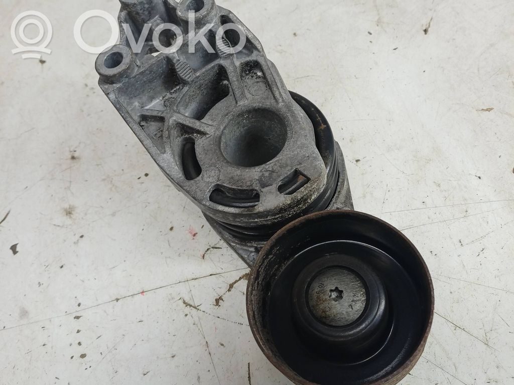 Volkswagen Polo IV 9N3 Generatoriaus diržo įtempėjas 