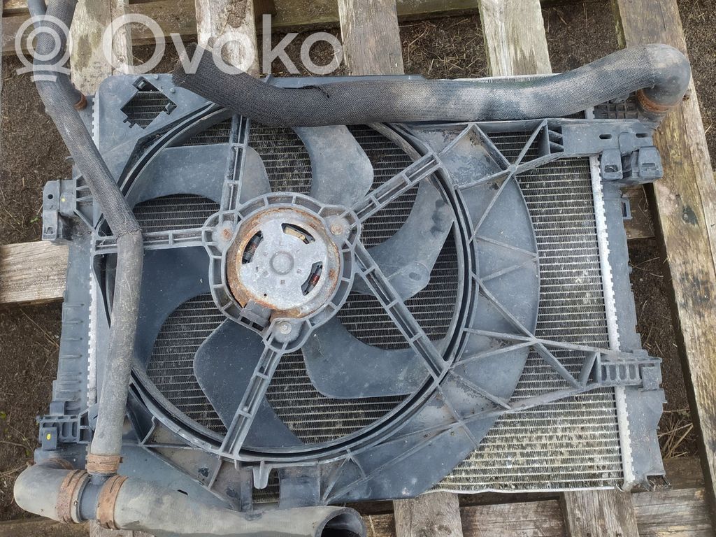 Renault Trafic II (X83) Radiator lichid răcire 