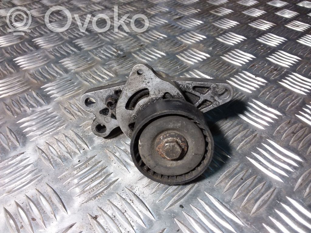 Peugeot 206 Tensor de correa del alternador 