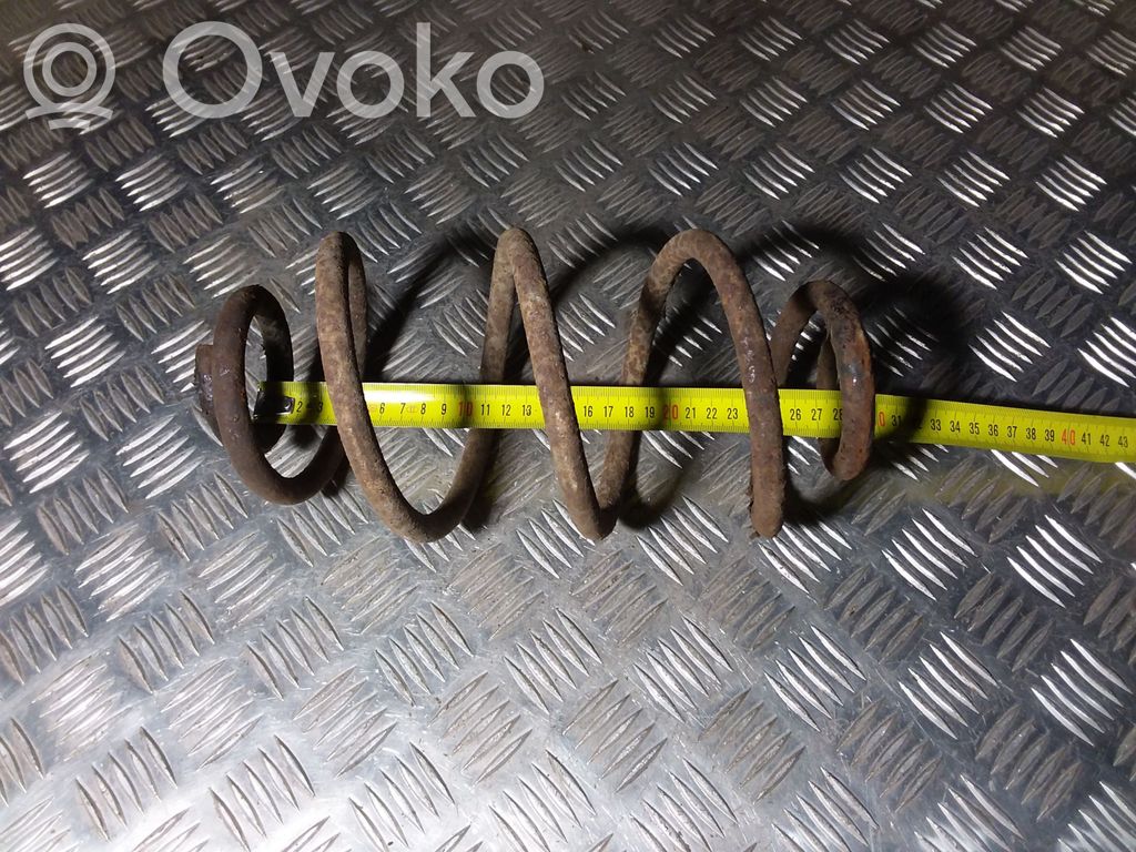 Rear coil spring