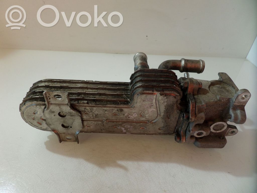Volkswagen PASSAT B6 Chłodnica spalin EGR 