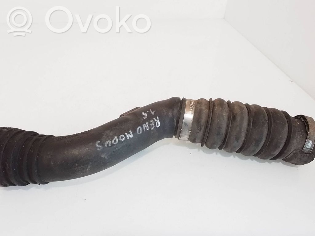 Renault Modus Furtun/conductă intercooler 