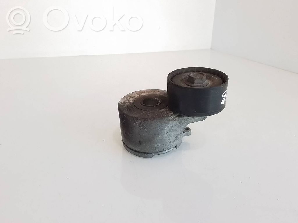 Mazda 2 Tendicinghia generatore/alternatore 