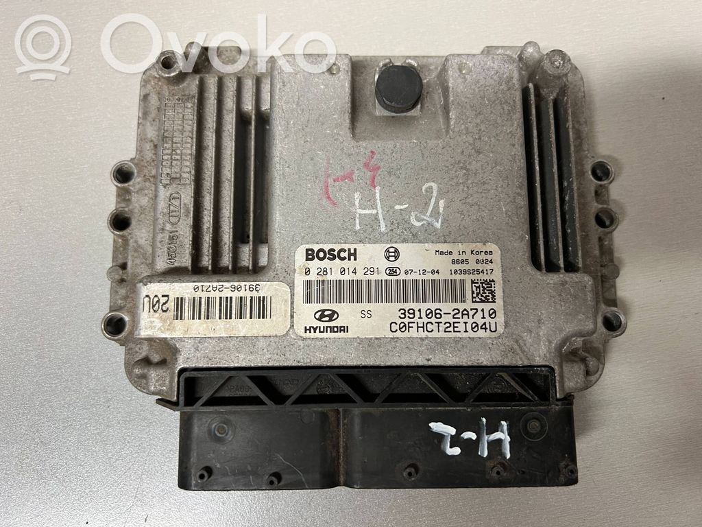 Engine control unit/module   391062A710,1039S25417,0281014291