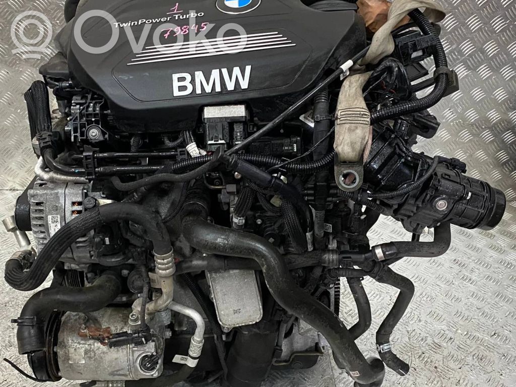 BMW X1 F48 F49 Variklis 
