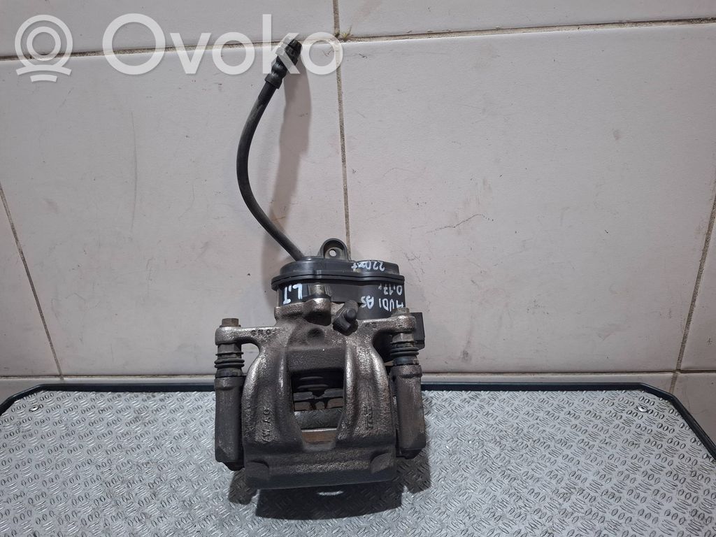 Takajarrusatula   8W0405BA