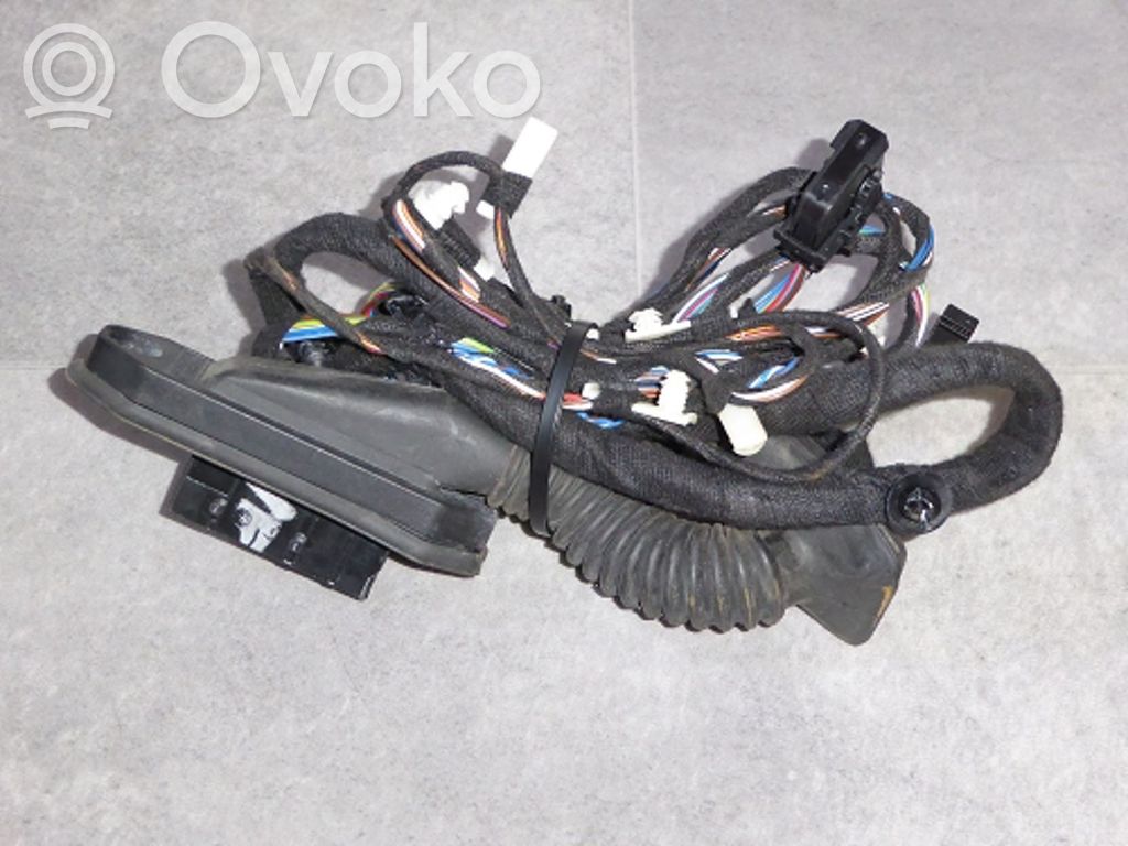 BMW X1 E84 Cableado de puerta delantera 