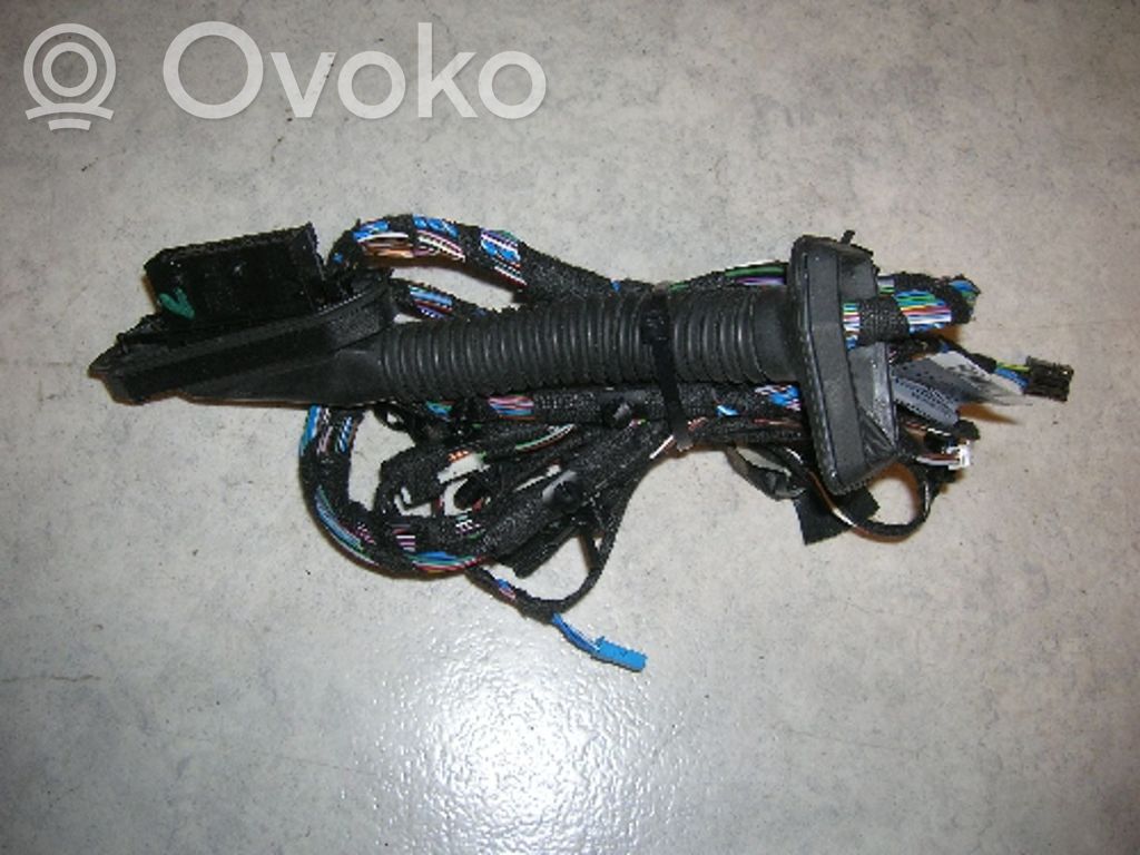 BMW 3 E92 E93 Cableado de puerta delantera 
