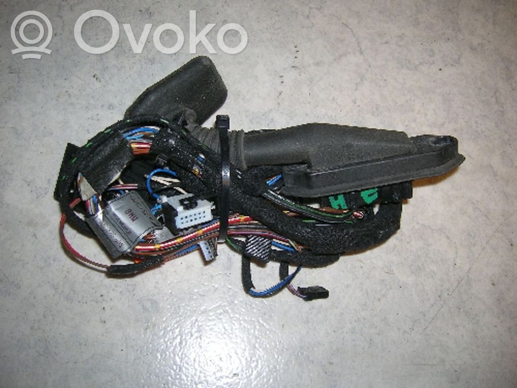 BMW 5 E39 Cableado de puerta delantera 