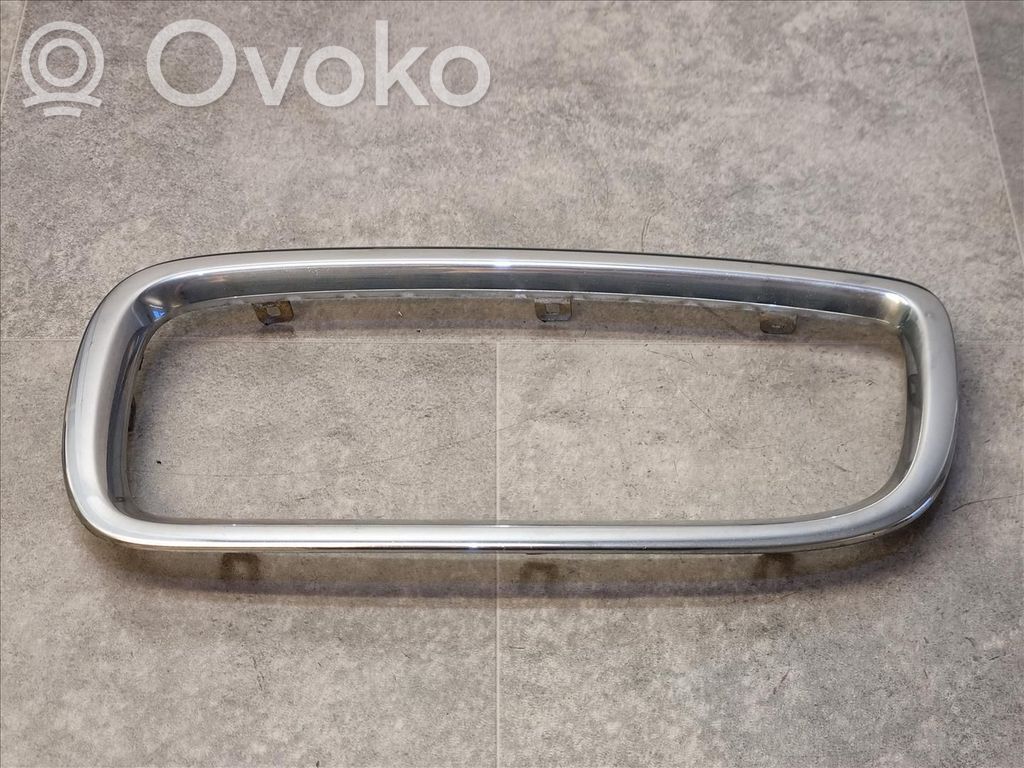 Front grill   51138223219,51138223219