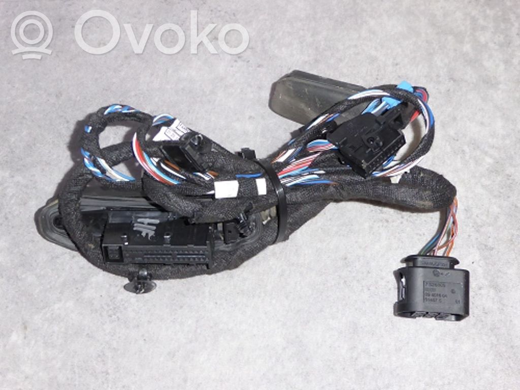BMW X1 E84 Cableado de puerta delantera 