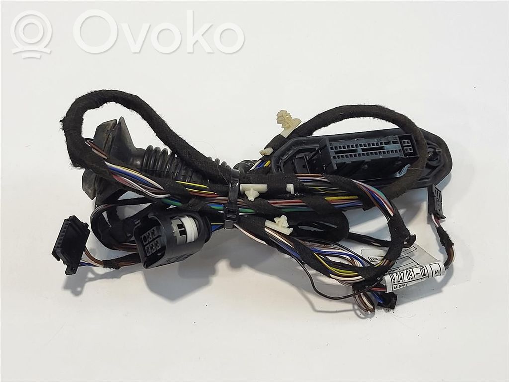 BMW X1 E84 Cableado de puerta trasera 