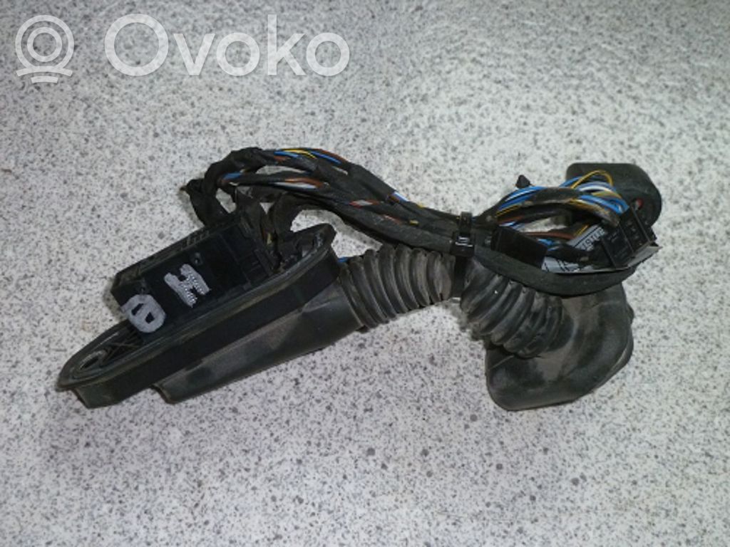 BMW 5 E60 E61 Cableado de puerta trasera 