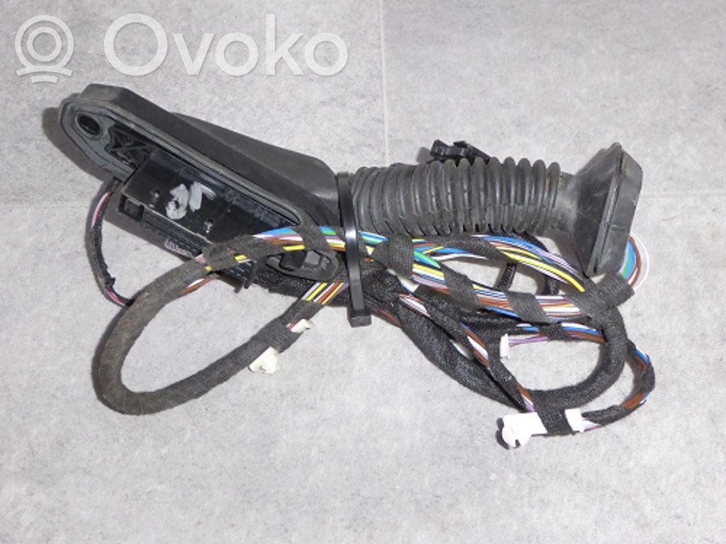 BMW X1 E84 Cableado de puerta trasera 