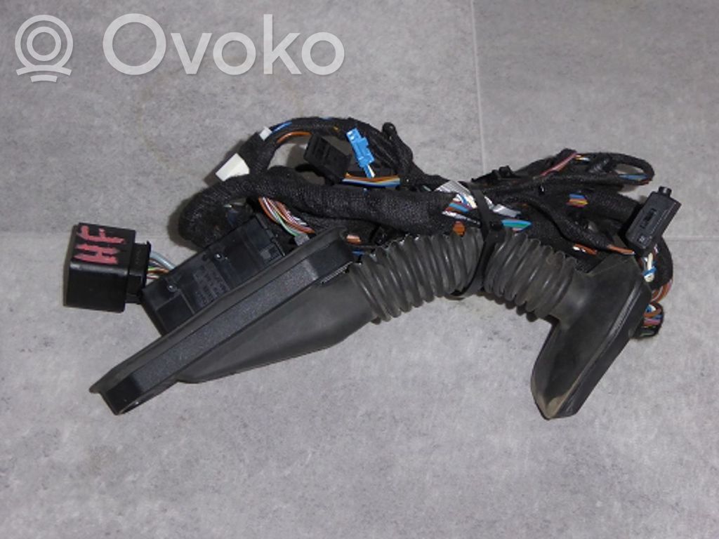 BMW X5 E70 Cableado de puerta delantera 