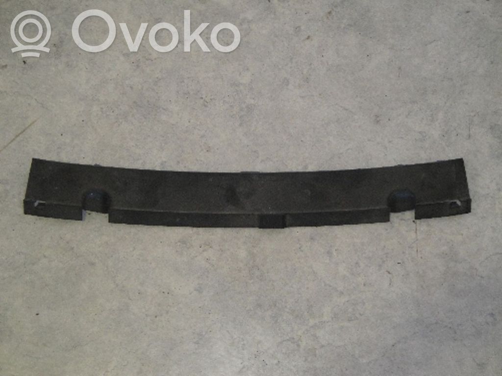 Cubierta del motor (embellecedor)   51117125705,51117125705