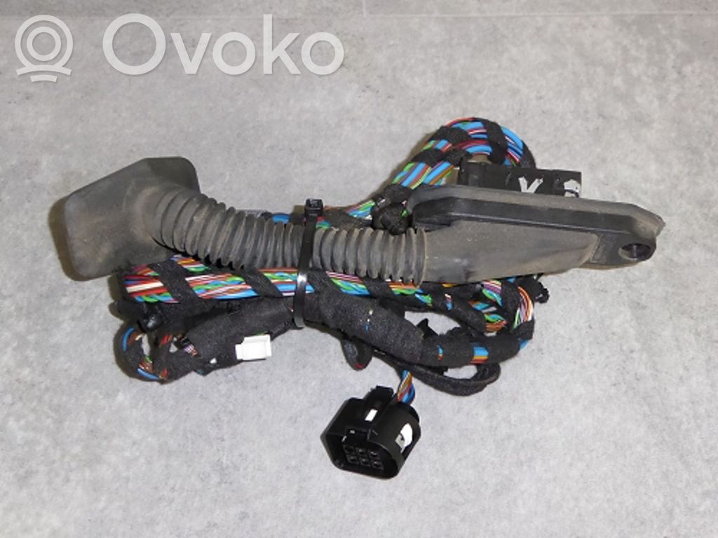 BMW X5 E70 Cableado de puerta trasera 